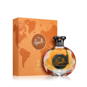 Design sem nome - 2025-11-17T130417.092